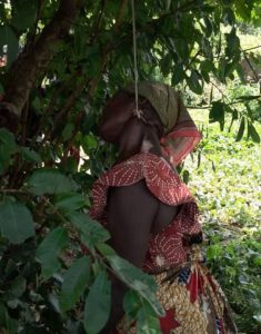 Screenshot_20251108-052158