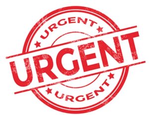 Screenshot_20251108-102353