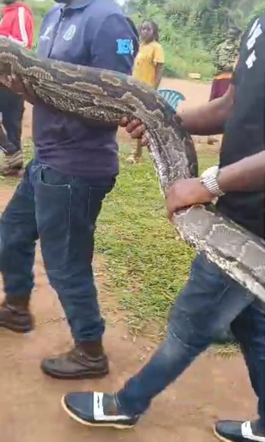 Screenshot_20251114-185259