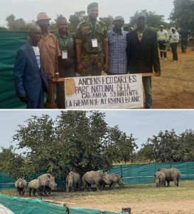 Screenshot_20251211-111212 (1)