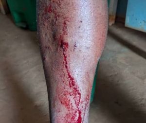 IMG-20260412-WA0780 (1)