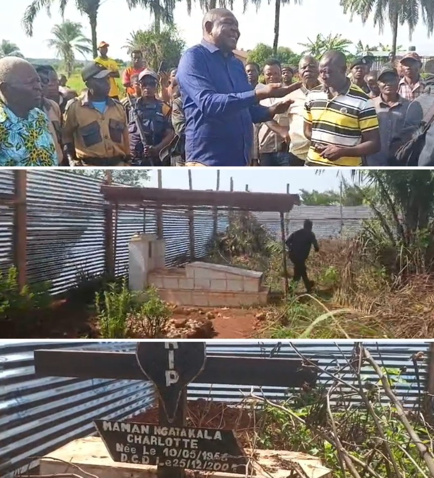 Screenshot_20260415-092217 (1) (1)