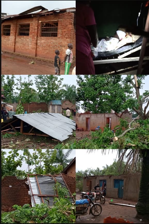 Screenshot_20260425-073131